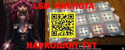 винт Краснодар