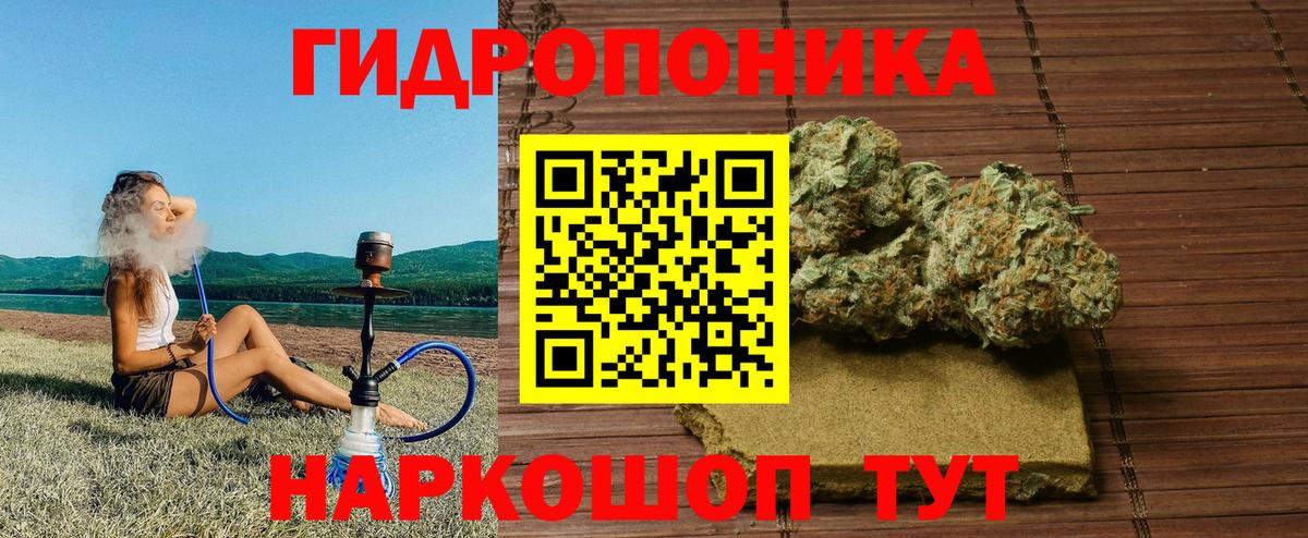 Марихуана конопля  Конопля THC 21%  Вход с VPN  Шишки марихуана гибрид  Североморск 